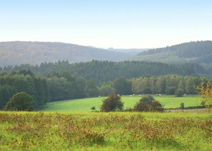 In Winenne With Garden * Beauraing